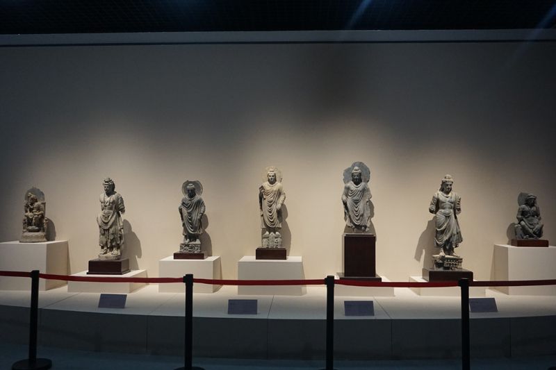 1_20200219110224_w8k5l