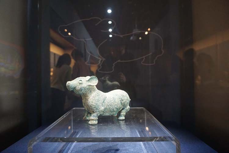 1_20241121101129_hs5ub