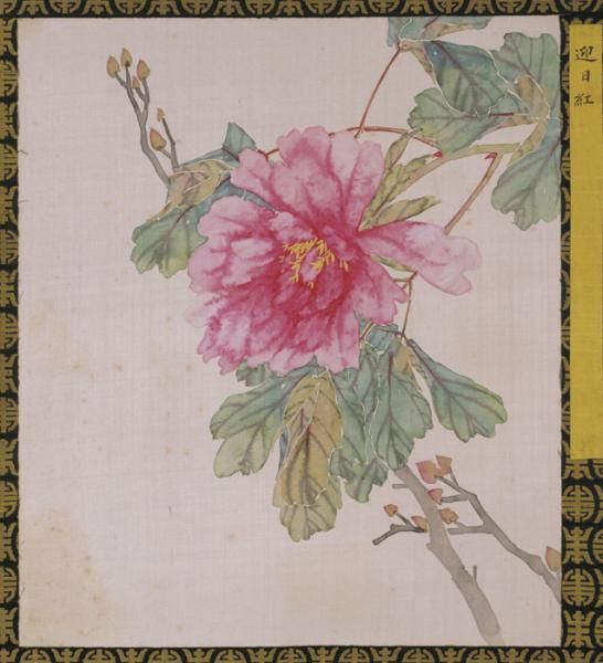 1_20200219110221_5m564