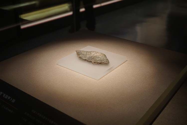 1_20241121101106_ybp6u